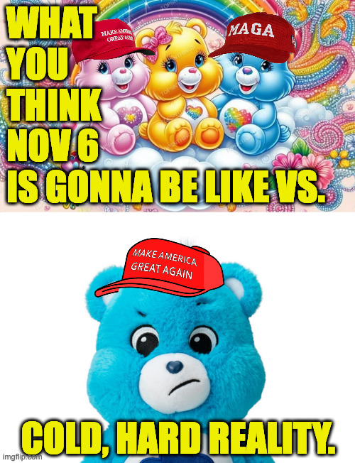 ... but hey, maybe you'll win that Musk lottery. | WHAT
YOU
THINK
NOV 6
IS GONNA BE LIKE VS. COLD, HARD REALITY. | image tagged in memes,care bears | made w/ Imgflip meme maker