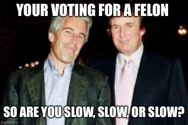 Epstien | YOUR VOTING FOR A FELON; SO ARE YOU SLOW, SLOW, OR SLOW? | image tagged in epstien | made w/ Imgflip meme maker