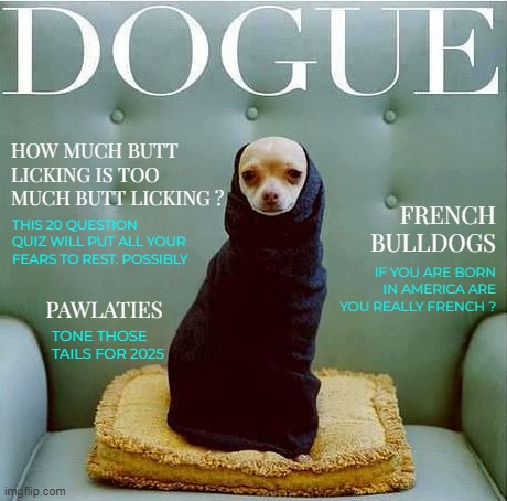 D O G U E , October 2024 | HOW MUCH BUTT LICKING IS TOO MUCH BUTT LICKING ? THIS 20 QUESTION QUIZ WILL PUT ALL YOUR FEARS TO REST. POSSIBLY; FRENCH BULLDOGS; IF YOU ARE BORN IN AMERICA ARE YOU REALLY FRENCH ? PAWLATIES; TONE THOSE TAILS FOR 2025 | image tagged in funny memes,fake magazines,dogue | made w/ Imgflip meme maker