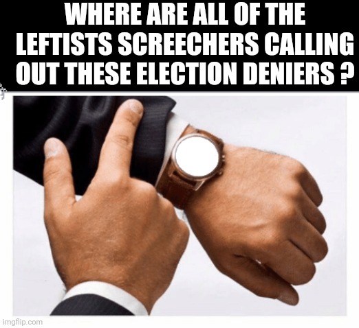 Would you look at the time | WHERE ARE ALL OF THE LEFTISTS SCREECHERS CALLING OUT THESE ELECTION DENIERS ? | image tagged in would you look at the time | made w/ Imgflip meme maker