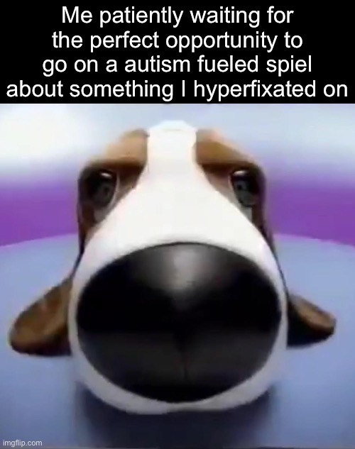 It’s philosophy tonight boys! | Me patiently waiting for the perfect opportunity to go on a autism fueled spiel about something I hyper fixated on | image tagged in staring dog | made w/ Imgflip meme maker