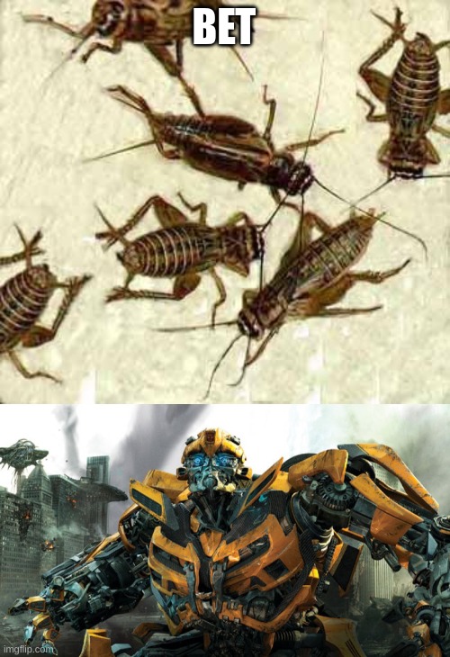 BET | image tagged in crickets,bumble bee | made w/ Imgflip meme maker