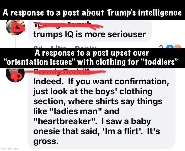 Progressives say the darndest things | A response to a post about Trump’s intelligence; A response to a post upset over “orientation issues” with clothing for “toddlers” | image tagged in politics lol,memes,derp | made w/ Imgflip meme maker