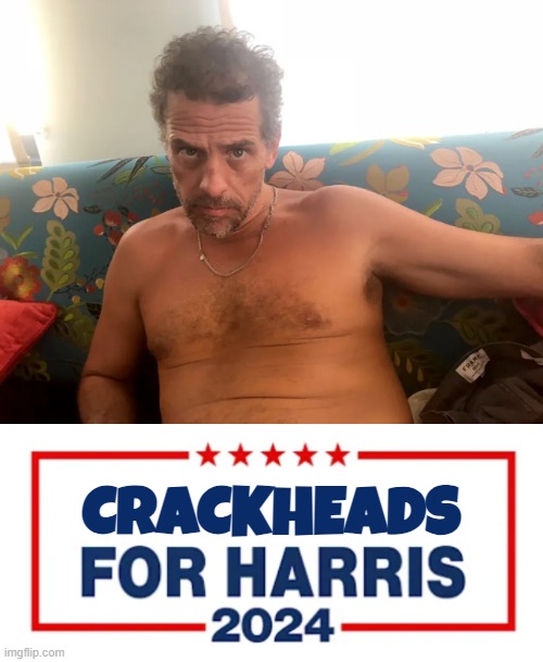 Crackheads for Harris | CRACKHEADS | image tagged in hunter biden,crackhead,kamala harris,trump,maga,make america great again | made w/ Imgflip meme maker