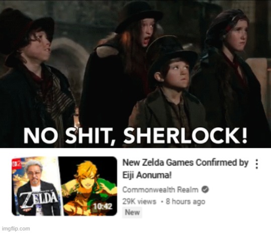 Thanks for pointing out the obvious | image tagged in no shit sherlock,link,legend of zelda | made w/ Imgflip meme maker