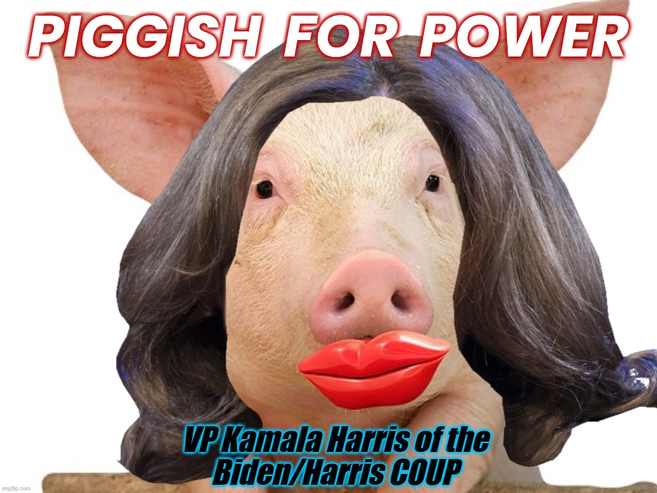 POWER GRAB'N PORKER | PIGGISH  FOR  POWER; VP Kamala Harris of the
Biden/Harris COUP | image tagged in kamala harris,biden,coup,liar,disloyal,power grab | made w/ Imgflip meme maker