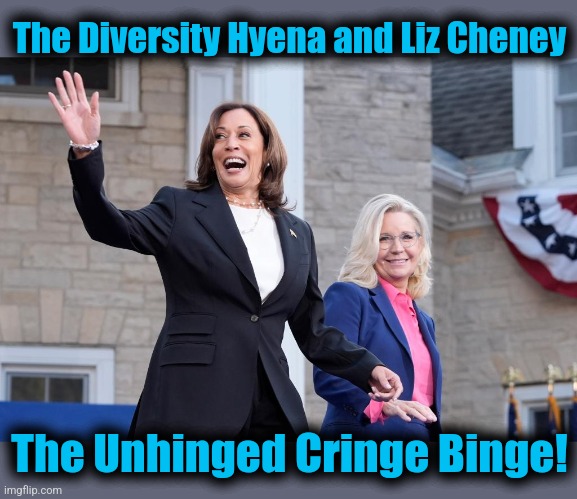 When a political rally causes mass nausea | The Diversity Hyena and Liz Cheney; The Unhinged Cringe Binge! | image tagged in memes,kamala harris,liz cheney,democrats,insanity,cringe binge | made w/ Imgflip meme maker