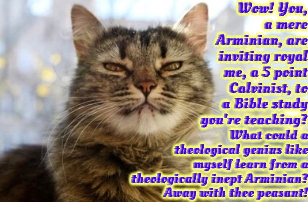 Away With Thee | Wow! You, a mere Arminian, are inviting royal me, a 5 point Calvinist, to a Bible study you're teaching? What could a theological genius like myself learn from a theologically inept Arminian? Away with thee peasant! | image tagged in calvinism,5 point calvinist reformed theology,arminian,molinism,theologically superior pharisee,royals and peasants | made w/ Imgflip meme maker