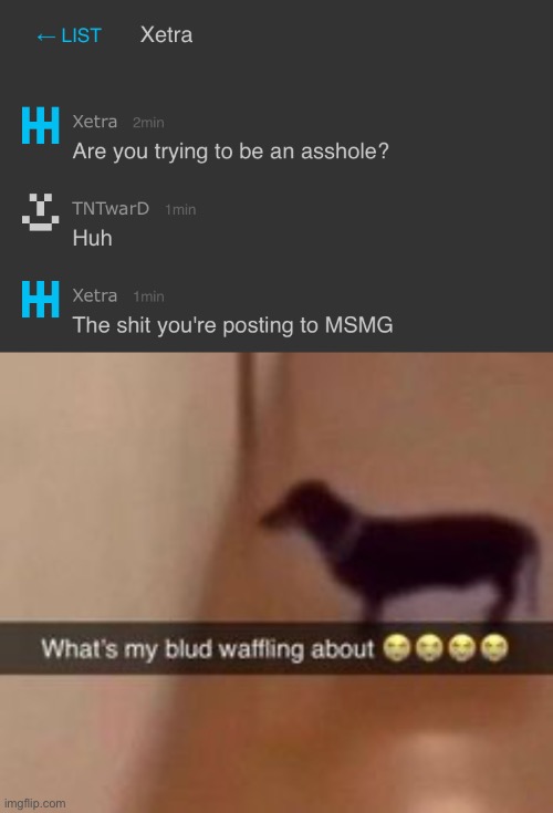 image tagged in what's my blud waffling about | made w/ Imgflip meme maker