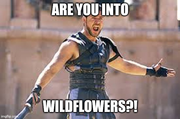 Are you not entertained | ARE YOU INTO; WILDFLOWERS?! | image tagged in are you not entertained | made w/ Imgflip meme maker