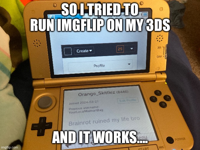 OMG IT WORKS, YOU SUOULD TRY IT (Depending on the model you use) | SO I TRIED TO RUN IMGFLIP ON MY 3DS; AND IT WORKS…. | made w/ Imgflip meme maker