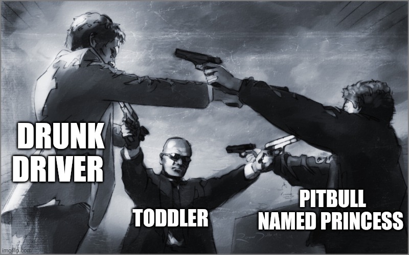 Fight!!! | DRUNK DRIVER; PITBULL NAMED PRINCESS; TODDLER | image tagged in assault | made w/ Imgflip meme maker