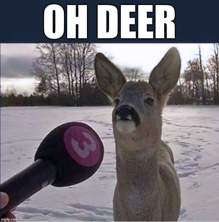 OH DEER | made w/ Imgflip meme maker