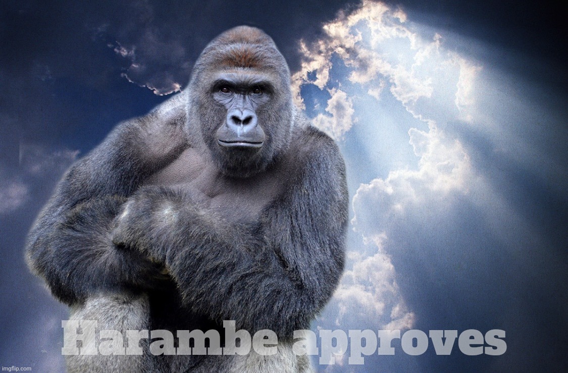 Harambe | Harambe approves | image tagged in harambe | made w/ Imgflip meme maker