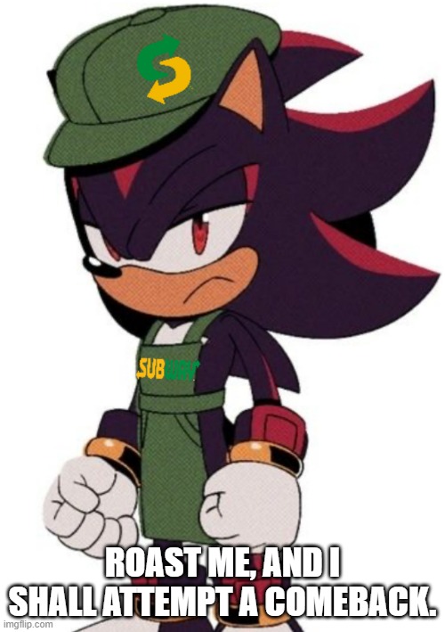 Shadow Subway | ROAST ME, AND I SHALL ATTEMPT A COMEBACK. | image tagged in shadow subway | made w/ Imgflip meme maker
