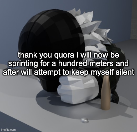 yaaaayyy physical exertion that i am god awful at actually now that i think about it this'll probably work | thank you quora i will now be sprinting for a hundred meters and after will attempt to keep myself silent | image tagged in template | made w/ Imgflip meme maker