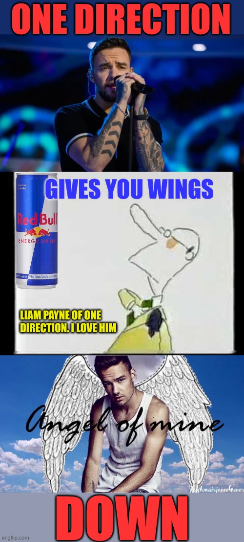 So it doesn't REALLY give you wings... Now he votes Democrat | ONE DIRECTION; GIVES YOU WINGS; LIAM PAYNE OF ONE DIRECTION. I LOVE HIM; DOWN | made w/ Imgflip meme maker