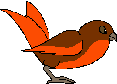 Glow Bird (Orange) Meme Template