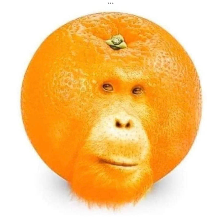 Orangetan Blank Meme Template