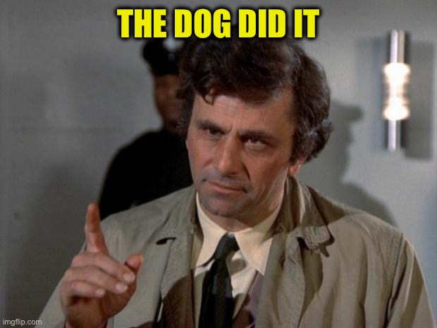 Columbo | THE DOG DID IT | image tagged in columbo | made w/ Imgflip meme maker