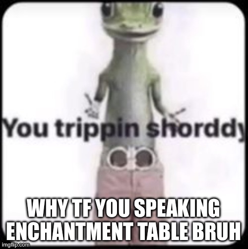 you trippin shorddy | WHY TF YOU SPEAKING ENCHANTMENT TABLE BRUH | image tagged in you trippin shorddy | made w/ Imgflip meme maker