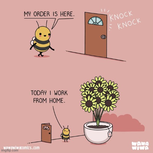 image tagged in bee,flowers,work from home,working from home | made w/ Imgflip meme maker