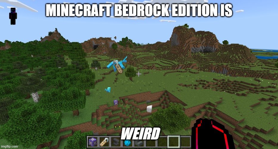 MINECRAFT BEDROCK EDITION IS; WEIRD | made w/ Imgflip meme maker