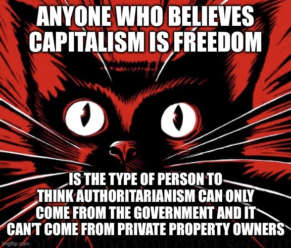 Seriously | ANYONE WHO BELIEVES CAPITALISM IS FREEDOM; IS THE TYPE OF PERSON TO THINK AUTHORITARIANISM CAN ONLY COME FROM THE GOVERNMENT AND IT CAN'T COME FROM PRIVATE PROPERTY OWNERS | image tagged in sabo tabby cat,capitalism | made w/ Imgflip meme maker