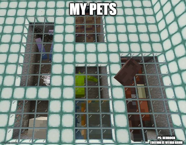 MY PETS; PS: BEDROCK EDITION IS WEIRD BRUH | made w/ Imgflip meme maker