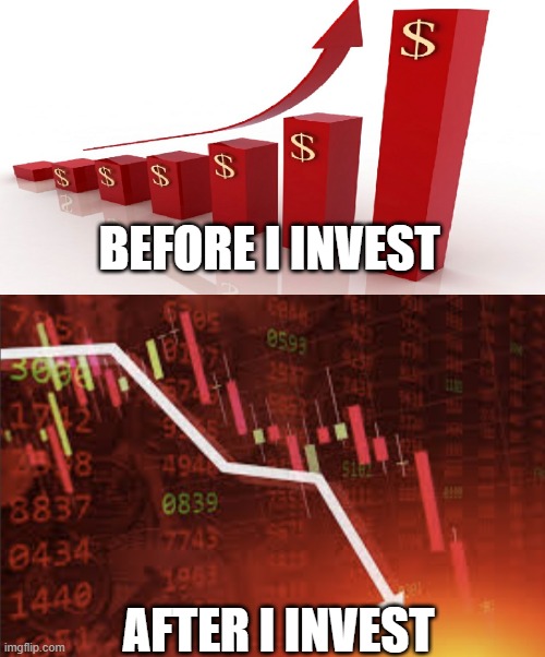 BEFORE I INVEST; AFTER I INVEST | image tagged in profit | made w/ Imgflip meme maker