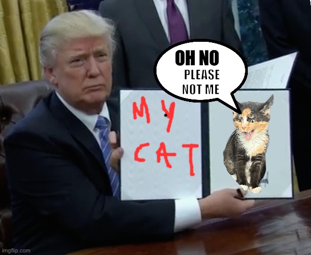 Oh no not me | OH NO; PLEASE NOT ME | image tagged in memes,trump bill signing,trumps cat,cat,scared cat,scared kitten | made w/ Imgflip meme maker