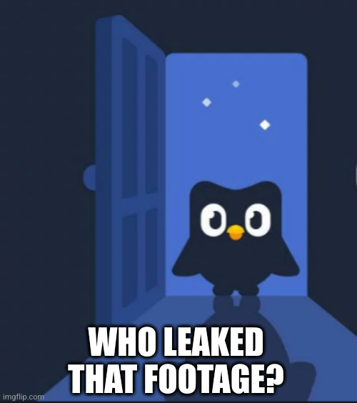 Duolingo bird | WHO LEAKED THAT FOOTAGE? | image tagged in duolingo bird | made w/ Imgflip meme maker