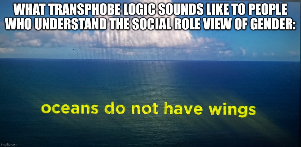 Inb4 “women do not have cocks” spam | WHAT TRANSPHOBE LOGIC SOUNDS LIKE TO PEOPLE WHO UNDERSTAND THE SOCIAL ROLE VIEW OF GENDER: | image tagged in professor dave,trans,funny,transgender,debate,hilarious | made w/ Imgflip meme maker