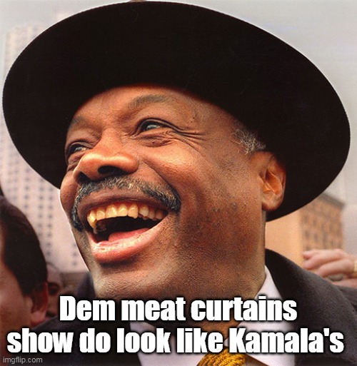 Dem meat curtains show do look like Kamala's | made w/ Imgflip meme maker