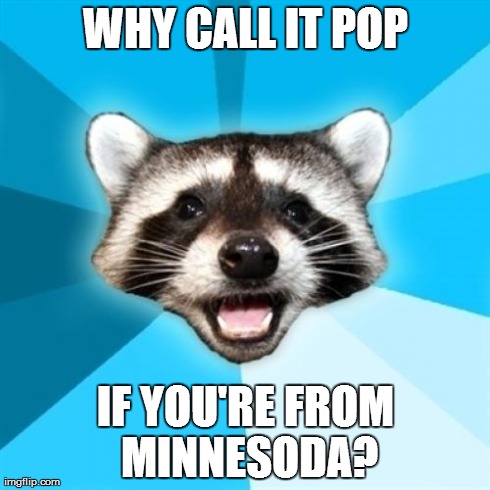 Lame Pun Coon | WHY CALL IT POP IF YOU'RE FROM MINNESODA? | image tagged in memes,lame pun coon,AdviceAnimals | made w/ Imgflip meme maker