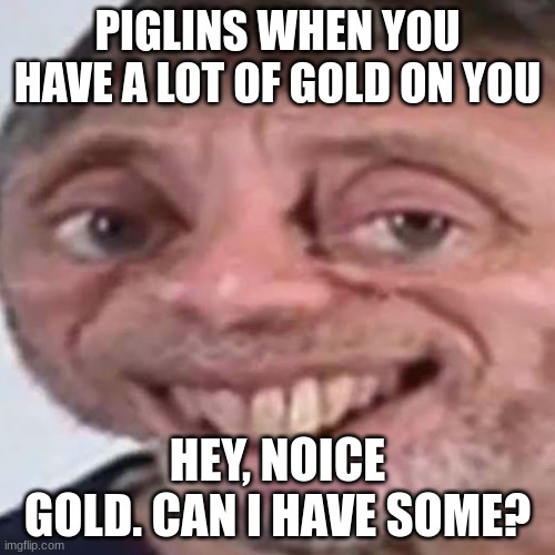 Piglins and Gold | PIGLINS WHEN YOU HAVE A LOT OF GOLD ON YOU; HEY, NOICE GOLD. CAN I HAVE SOME? | image tagged in noice,minecraft,nether,gold | made w/ Imgflip meme maker