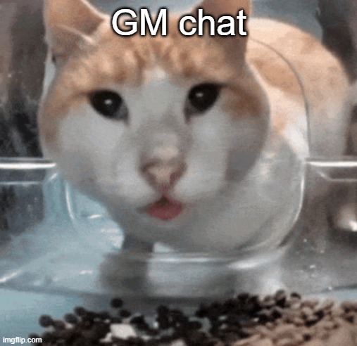 Mr Shock stare | GM chat | image tagged in mr shock stare | made w/ Imgflip meme maker