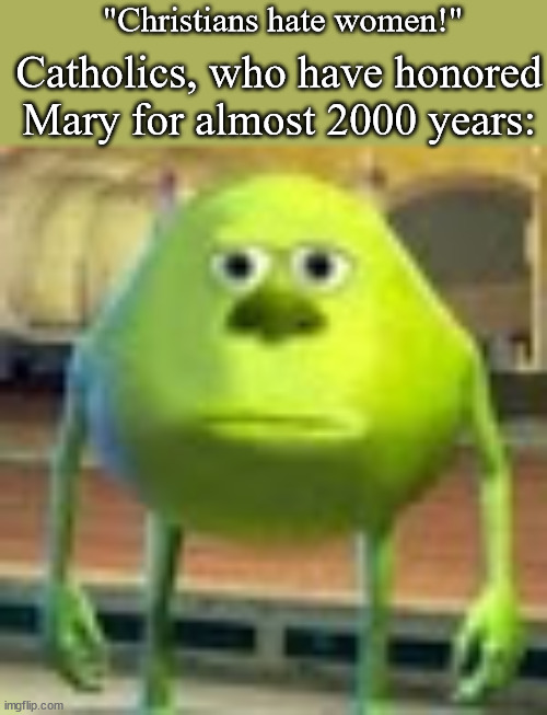 Sully Wazowski | "Christians hate women!"; Catholics, who have honored Mary for almost 2000 years: | image tagged in sully wazowski | made w/ Imgflip meme maker