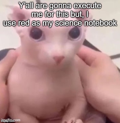 bingus | Y'all are gonna execute me for this but, I use red as my science notebook | image tagged in bingus | made w/ Imgflip meme maker