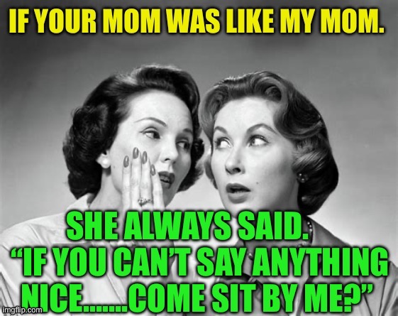 If you can’t say anything nice….. | image tagged in gifs,funny,my mom,jokes | made w/ Imgflip meme maker