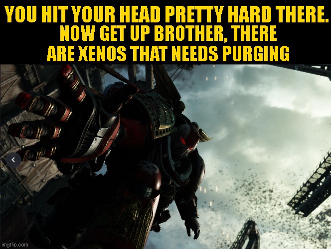 Get up Brøther | YOU HIT YOUR HEAD PRETTY HARD THERE. NOW GET UP BROTHER, THERE ARE XENOS THAT NEEDS PURGING | image tagged in warhammer40k | made w/ Imgflip meme maker