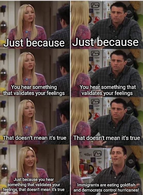 Phoebe Joey | Just because; Just because; You hear something that validates your feelings; You hear something that validates your feelings; That doesn't mean it's true; That doesn't mean it's true; Just because you hear something that validates your feelings, that doesn't mean it's true; Immigrants are eating goldfish and democrats control hurricanes! | image tagged in phoebe joey,scumbag republicans,terrorists,trailer trash,conservative hypocrisy,idiots | made w/ Imgflip meme maker