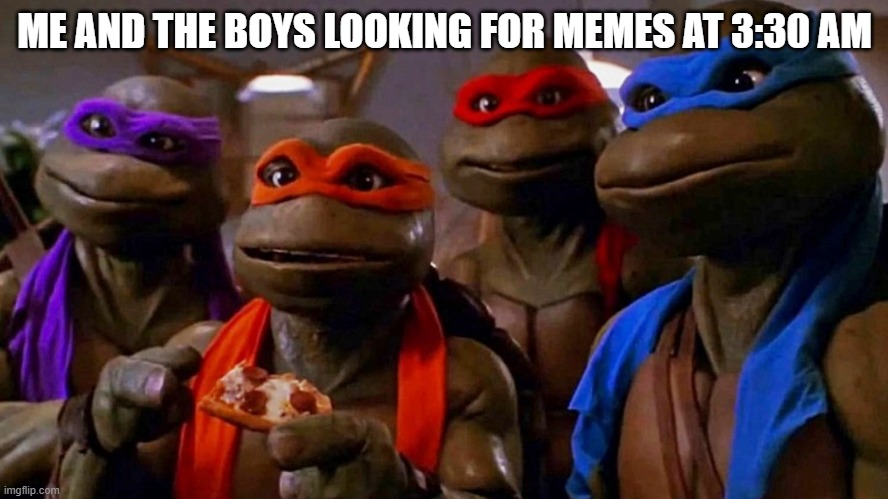 Teenage Mutant Ninja Turtles | ME AND THE BOYS LOOKING FOR MEMES AT 3:30 AM | image tagged in teenage mutant ninja turtles | made w/ Imgflip meme maker