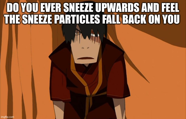 Zuko Flustered | DO YOU EVER SNEEZE UPWARDS AND FEEL THE SNEEZE PARTICLES FALL BACK ON YOU | image tagged in zuko flustered | made w/ Imgflip meme maker