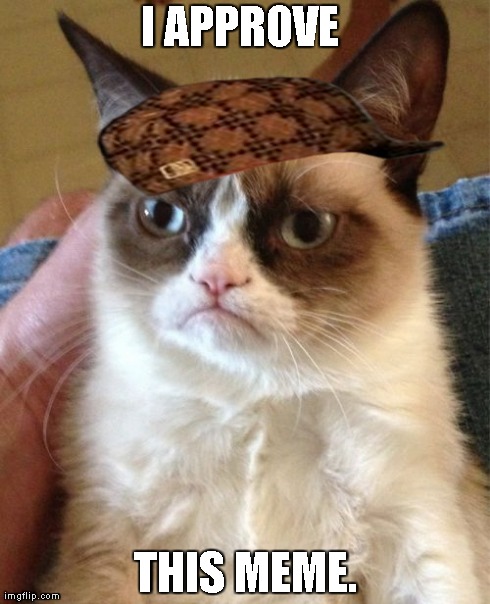 Grumpy Cat Meme | I APPROVE THIS MEME. | image tagged in memes,grumpy cat,scumbag | made w/ Imgflip meme maker