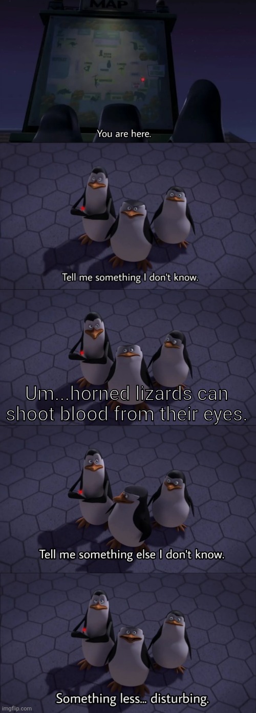 Trivia | Um...horned lizards can shoot blood from their eyes. | image tagged in tell me something i don't know,penguins of madagascar | made w/ Imgflip meme maker