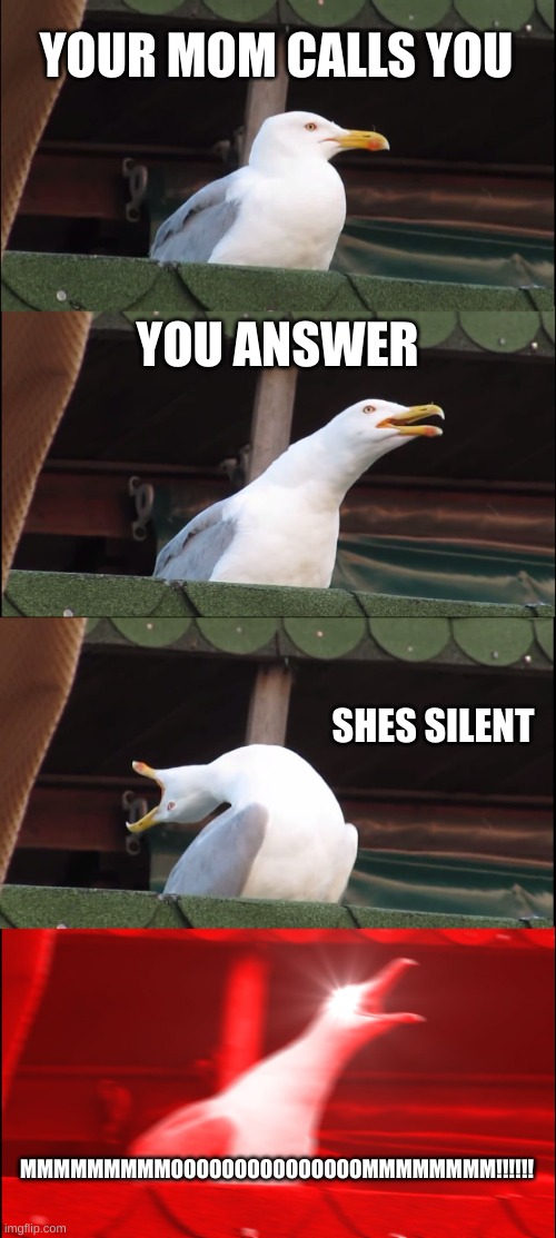 Inhaling Seagull Meme | YOUR MOM CALLS YOU; YOU ANSWER; SHES SILENT; MMMMMMMMMOOOOOOOOOOOOOOOMMMMMMMM!!!!!! | image tagged in memes,inhaling seagull | made w/ Imgflip meme maker