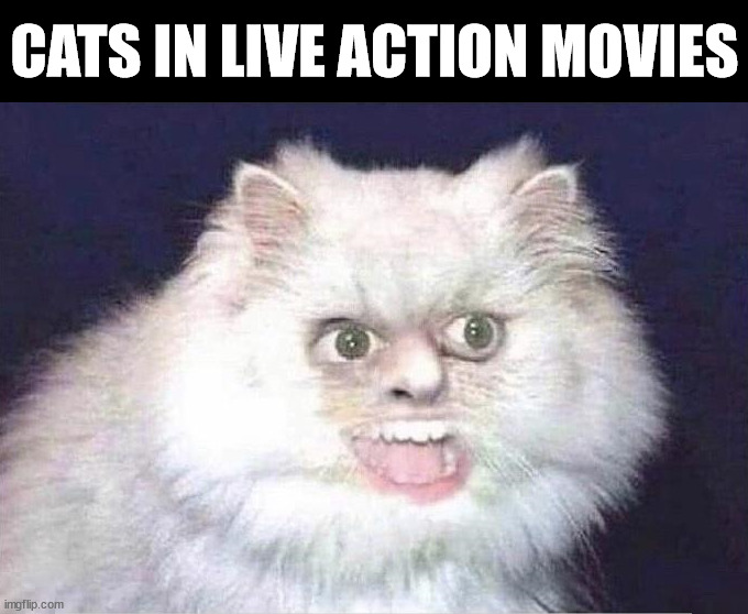 Live action | CATS IN LIVE ACTION MOVIES | image tagged in cursed image | made w/ Imgflip meme maker