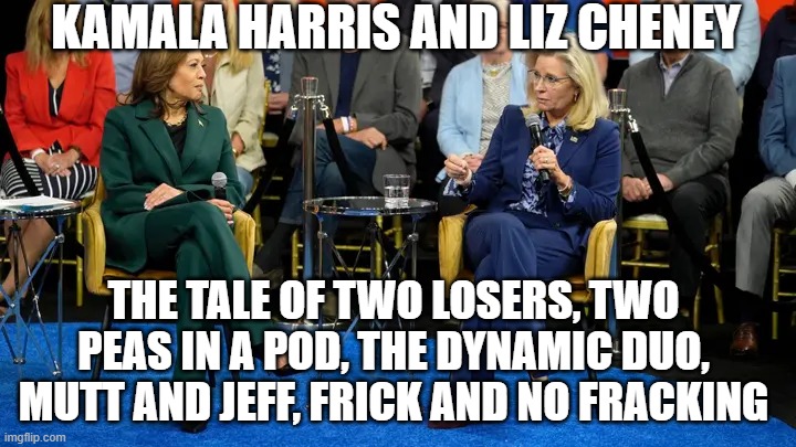 The Tale of Two Losers | KAMALA HARRIS AND LIZ CHENEY; THE TALE OF TWO LOSERS, TWO PEAS IN A POD, THE DYNAMIC DUO, MUTT AND JEFF, FRICK AND NO FRACKING | image tagged in the tale of two losers | made w/ Imgflip meme maker