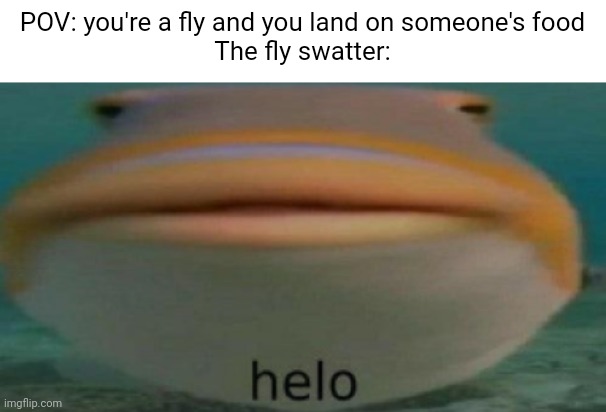 No one uses them anymore... | POV: you're a fly and you land on someone's food
The fly swatter: | image tagged in helo | made w/ Imgflip meme maker